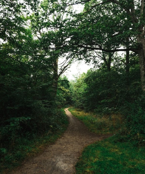 Hệ thống đại lý cấp 1